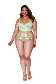 Dreamgirl - Women's Plus Size Embroidery and mesh long-line bra and G-string set - DG12897X